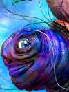 Shelldweller