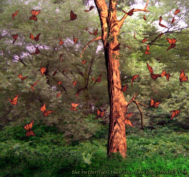 Butterflies - By Robert J. Tiess