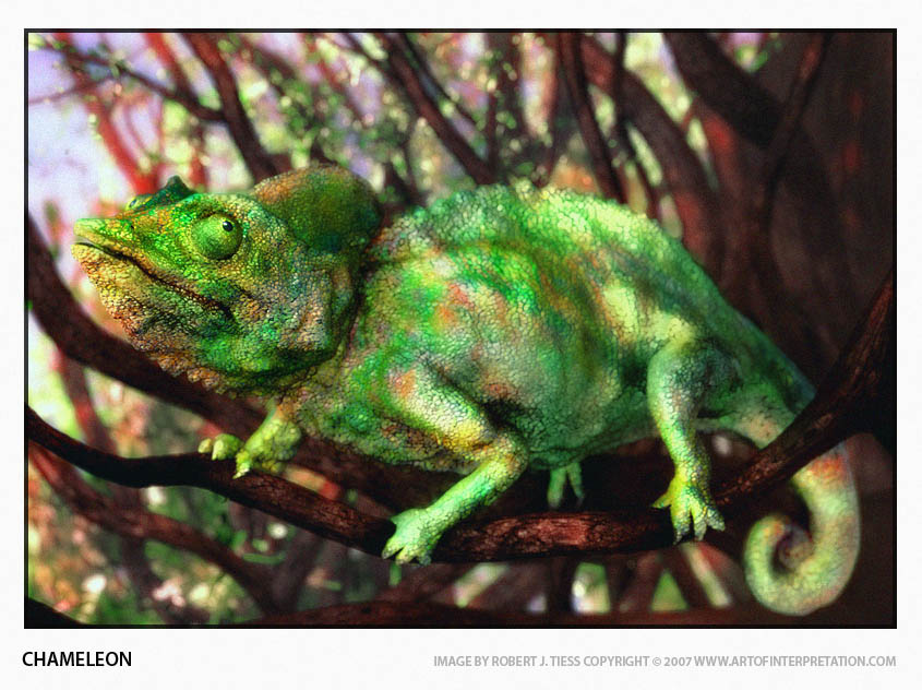 Chameleon - By Robert J. Tiess