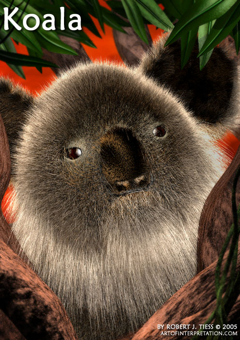 Koala - By Robert J. Tiess