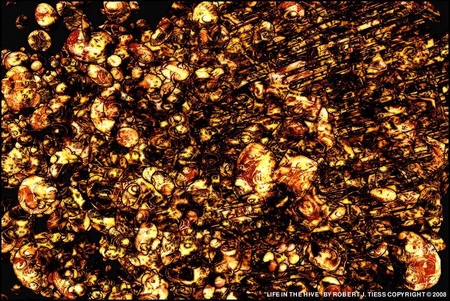 Life in the Hive - By Robert J. Tiess