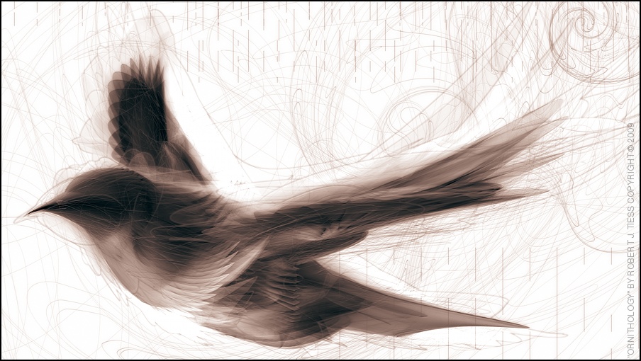 Ornithology - By Robert J. Tiess