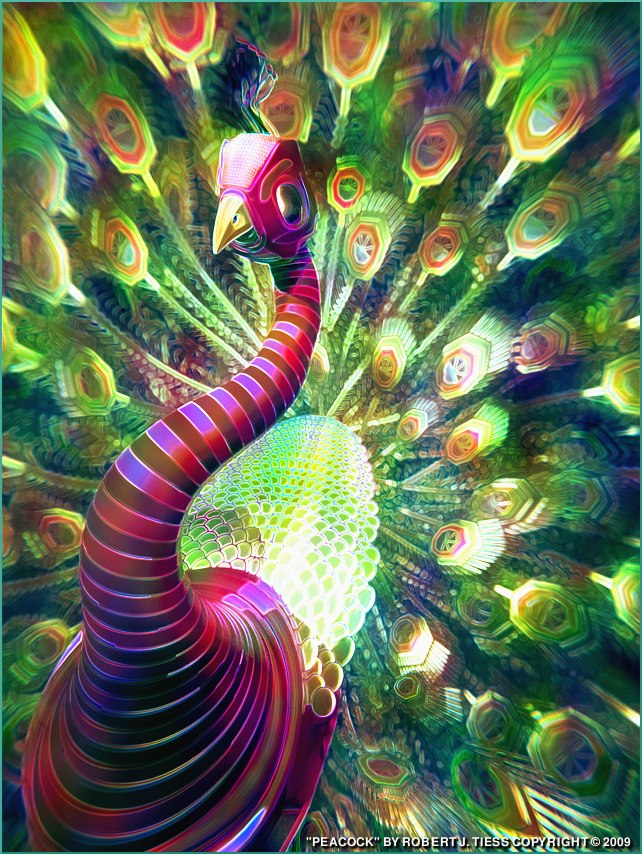 Peacock - By Robert J. Tiess