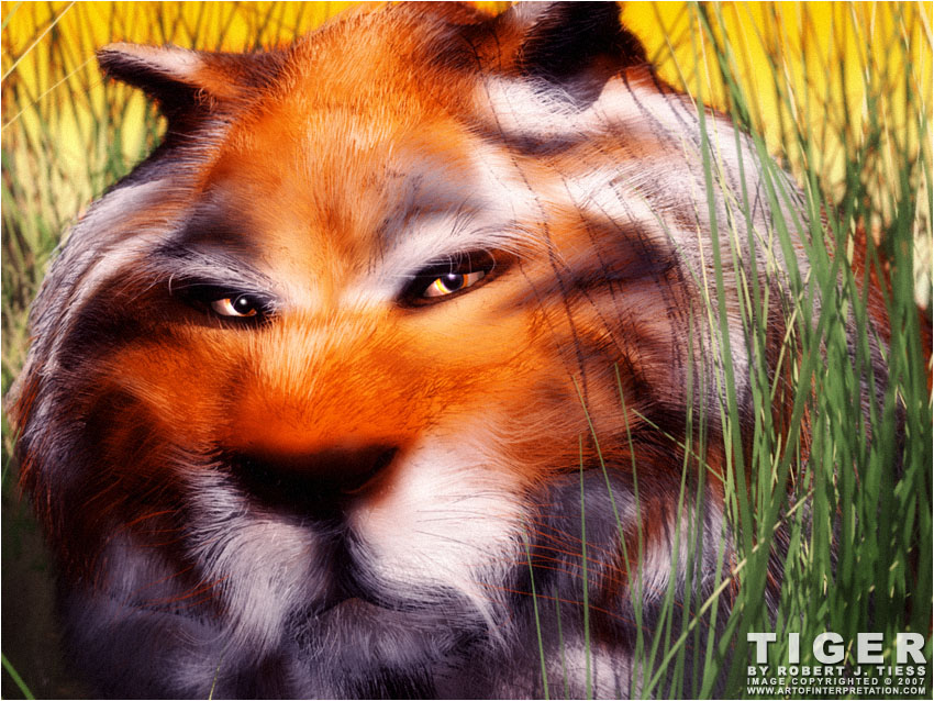 Tiger - By Robert J. Tiess
