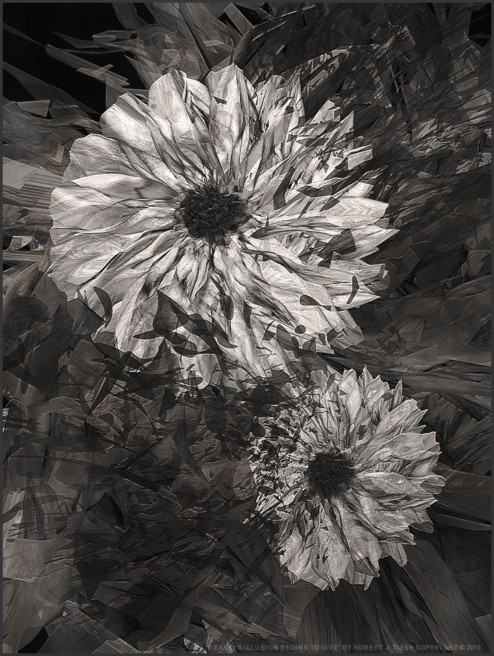 Beauty's Illusion Begins to Give - By Robert J. Tiess