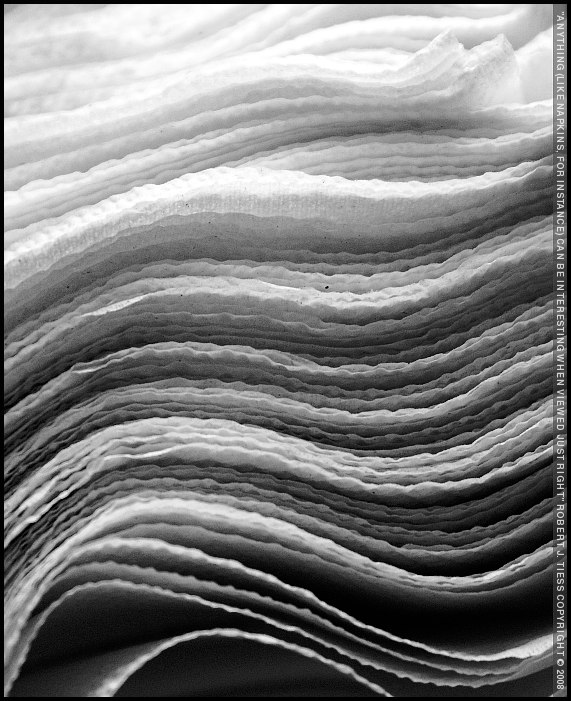 Anything (Like Napkins, for Instance) Can Be Interesting When Viewed Just Right - By Robert J. Tiess