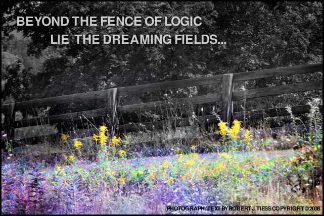 Beyond the Fence of Logic Lie the Dreaming Fields - By Robert J. Tiess