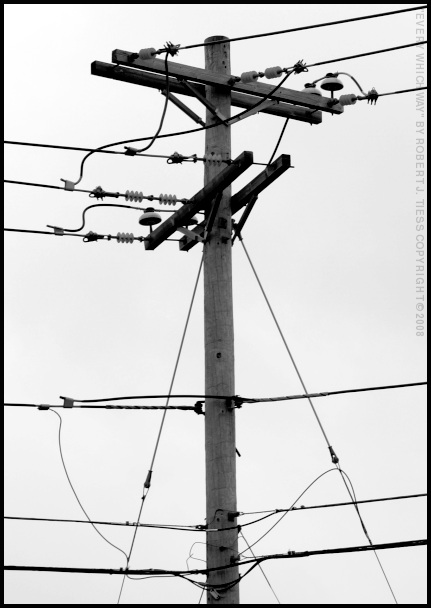 Every Which Way - By Robert J. Tiess