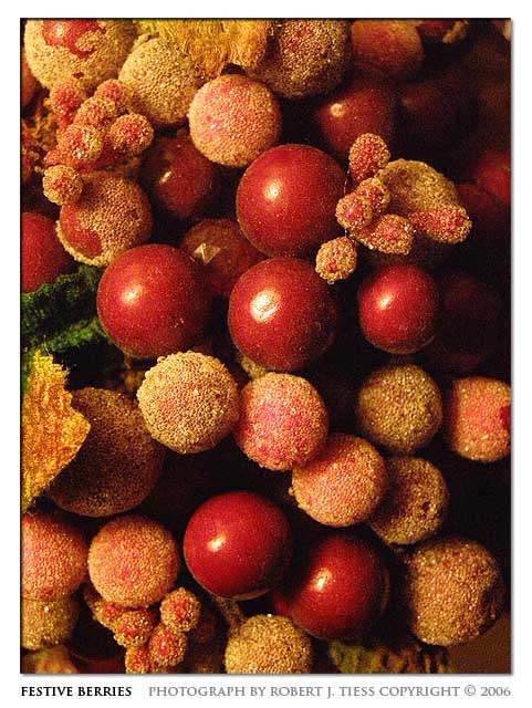 Festive Berries - By Robert J. Tiess