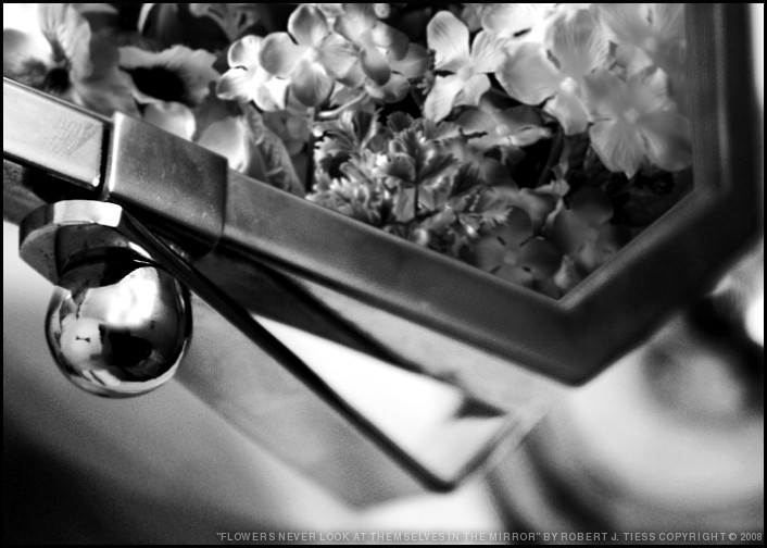 Flowers Never Look at Themselves in the Mirror - By Robert J. Tiess