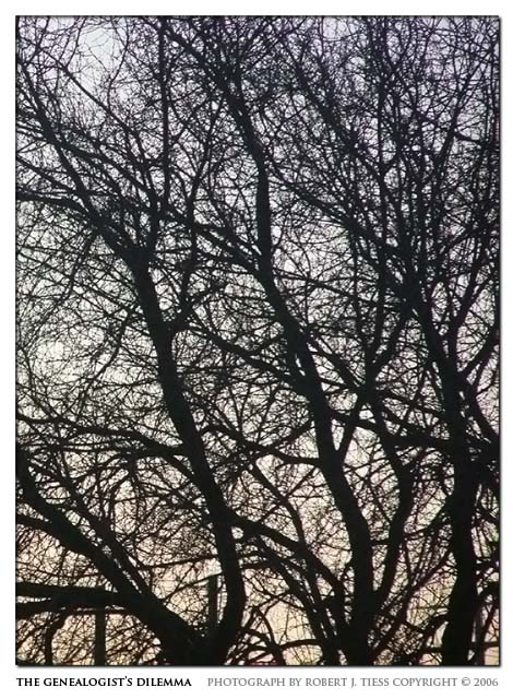 The Genealogist's Dilemma - By Robert J. Tiess