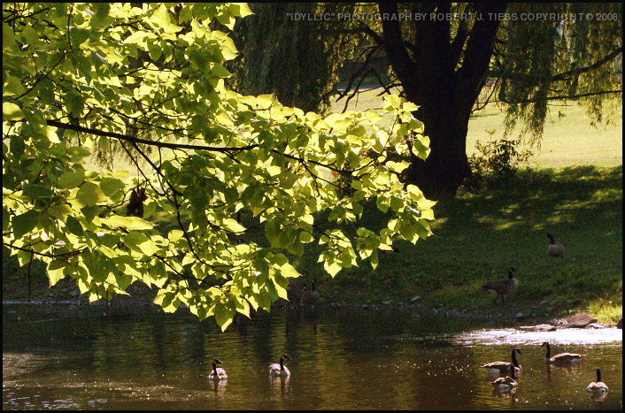 Idyllic - By Robert J. Tiess