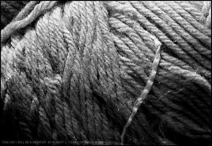 One Day I Will Be a Sweater - By Robert J. Tiess