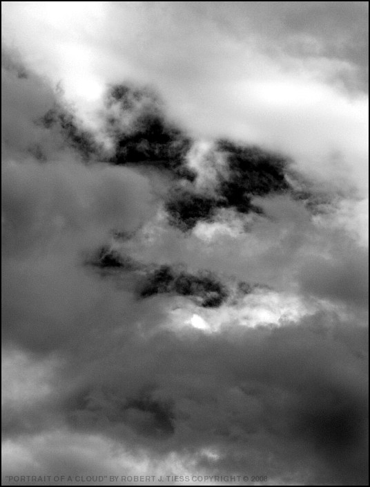 Portrait of a Cloud - By Robert J. Tiess