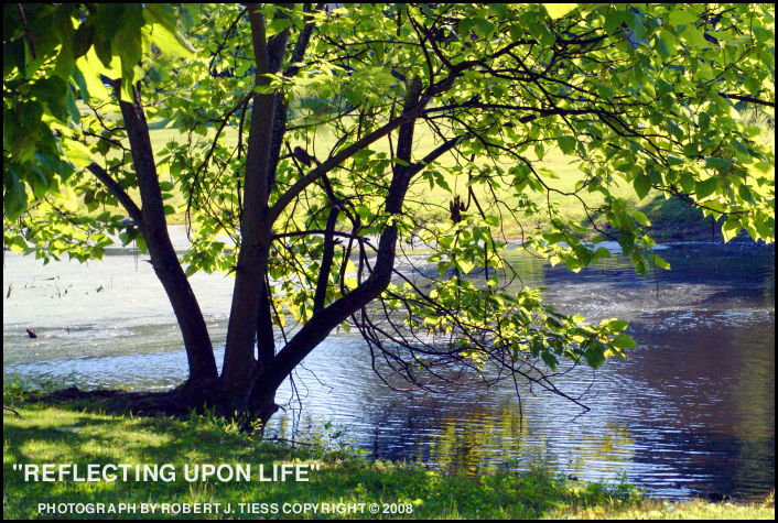 Reflecting upon Life - By Robert J. Tiess