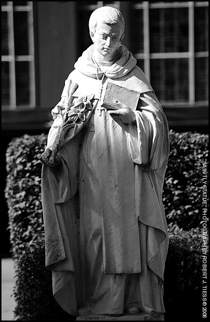 Saintly Statue - By Robert J. Tiess