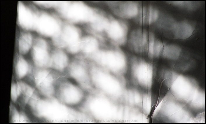 Shadows Playing in the Light - By Robert J. Tiess