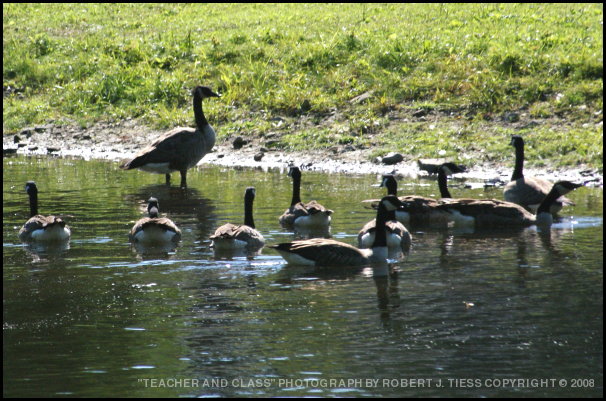 Teacher and Class - By Robert J. Tiess