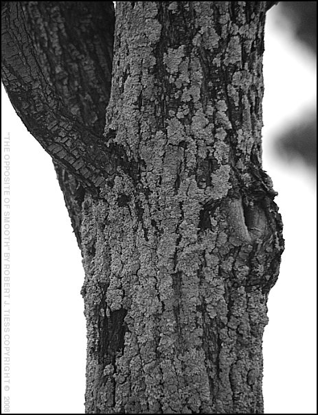 The Opposite of Smooth - By Robert J. Tiess