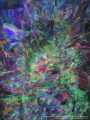Monet and Pollock Discuss Painting in the Afterlife