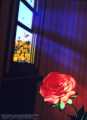 "I wish I, too, was beautiful," thought the flower foolishly.