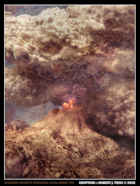 Eruption